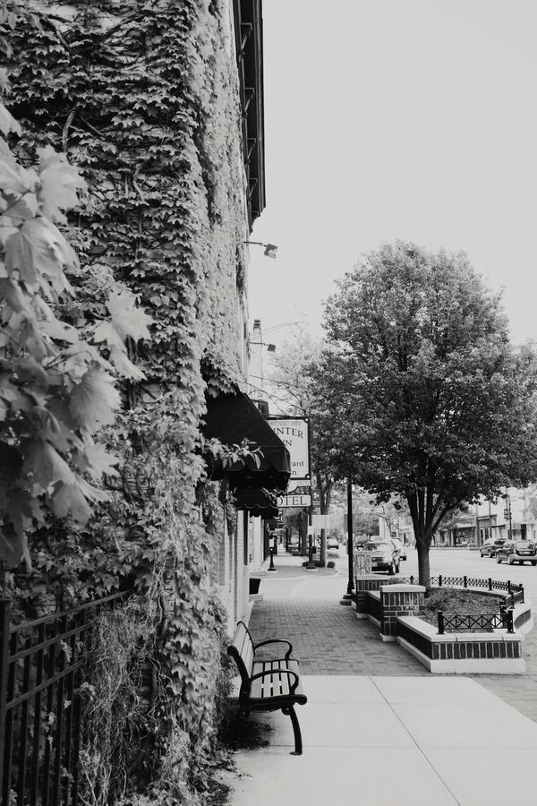 The Winter Inn Greenville Kültér fotó
